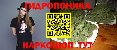 ГАЛЛЮЦИНОГЕННЫЕ ГРИБЫ Гатчина