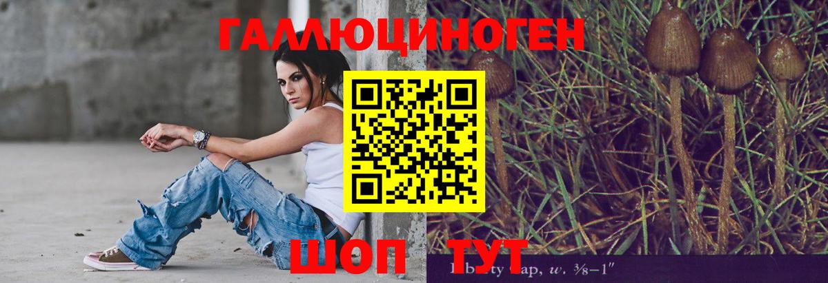 Октябрьский  Галлюциногенные грибы Psilocybine cubensis  Вход с VPN 